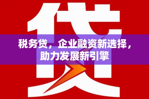 琼海税务贷，企业融资新选择，助力发展新引擎