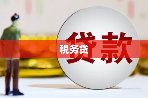 琼海税务贷