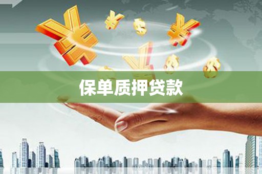 琼海保单质押贷款