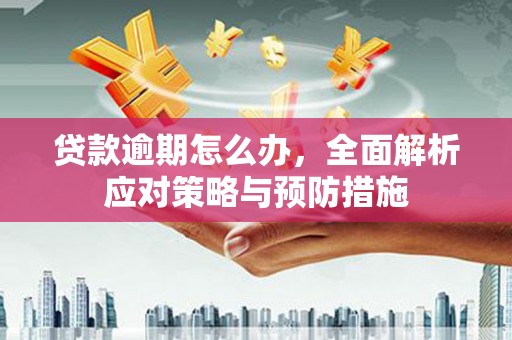 琼海贷款逾期怎么办，全面解析应对策略与预防措施