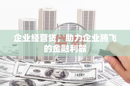 琼海企业经营贷，助力企业腾飞的金融利器