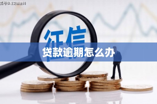 琼海贷款逾期怎么办