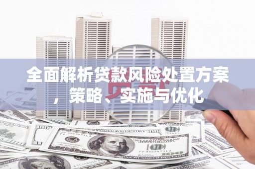 琼海全面解析贷款风险处置方案，策略、实施与优化