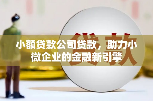 琼海小额贷款公司贷款，助力小微企业的金融新引擎
