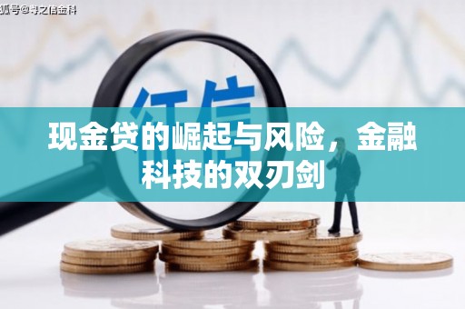 琼海现金贷的崛起与风险，金融科技的双刃剑