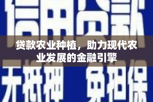 琼海贷款农业种植，助力现代农业发展的金融引擎