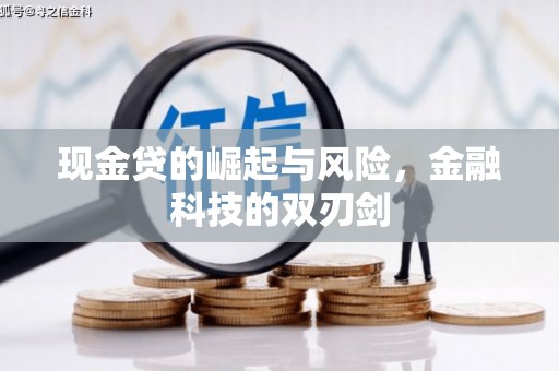 琼海现金贷的崛起与风险，金融科技的双刃剑