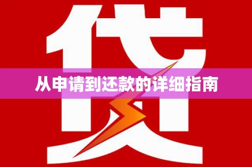 琼海从申请到还款的详细指南