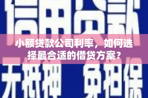 琼海小额贷款公司利率，如何选择最合适的借贷方案？