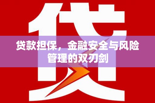 琼海贷款担保，金融安全与风险管理的双刃剑
