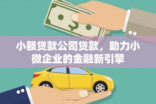琼海小额贷款公司贷款，助力小微企业的金融新引擎