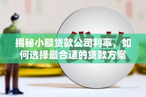 琼海揭秘小额贷款公司利率，如何选择最合适的贷款方案