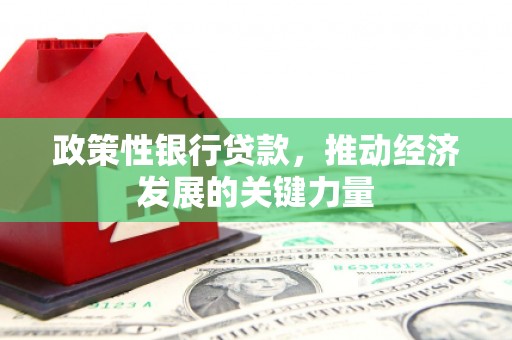 琼海政策性银行贷款，推动经济发展的关键力量