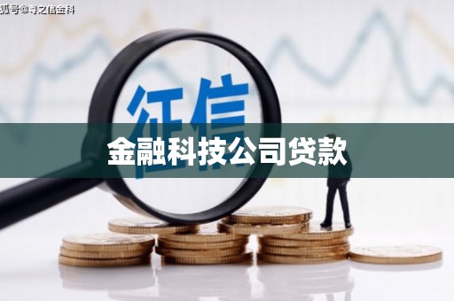 琼海金融科技公司贷款