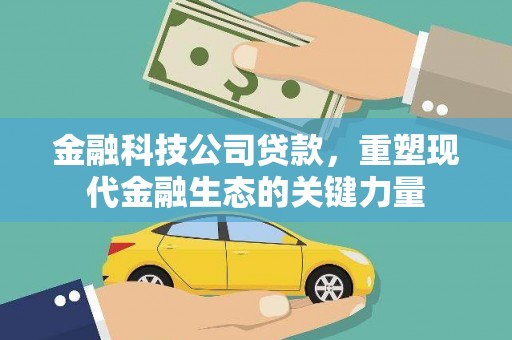 琼海金融科技公司贷款，重塑现代金融生态的关键力量