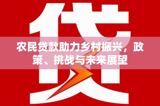 琼海农民贷款助力乡村振兴，政策、挑战与未来展望