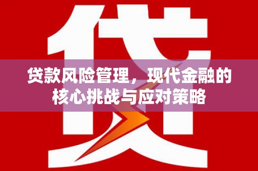 琼海贷款风险管理，现代金融的核心挑战与应对策略