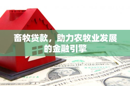 琼海畜牧贷款，助力农牧业发展的金融引擎