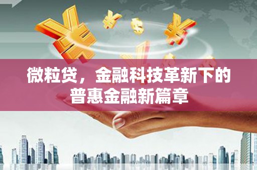 琼海微粒贷，金融科技革新下的普惠金融新篇章