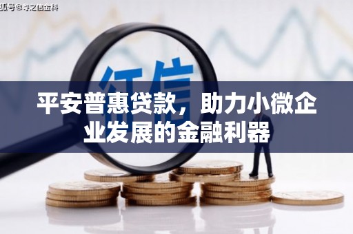琼海平安普惠贷款，助力小微企业发展的金融利器
