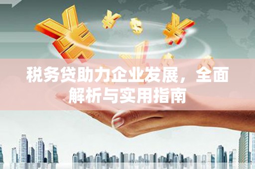 琼海税务贷助力企业发展，全面解析与实用指南