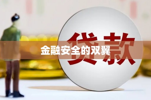 琼海金融安全的双翼
