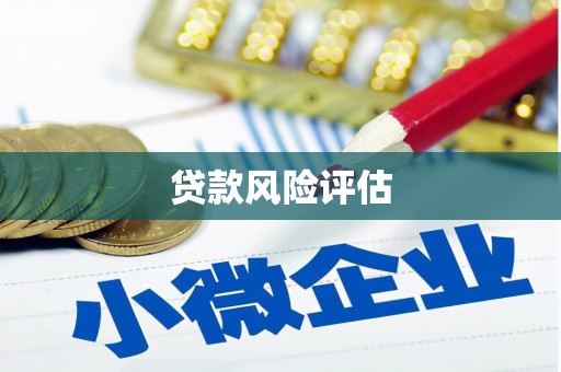 琼海贷款风险评估
