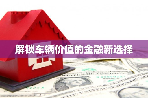 琼海解锁车辆价值的金融新选择