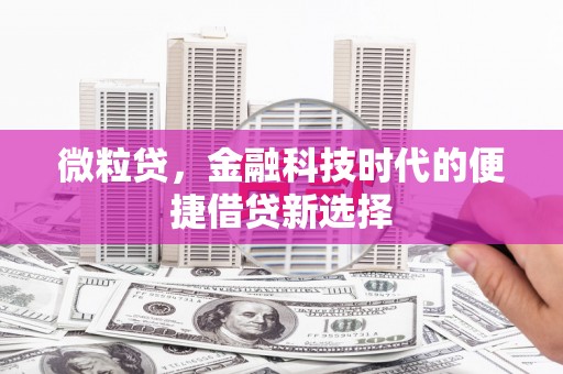 琼海微粒贷，金融科技时代的便捷借贷新选择