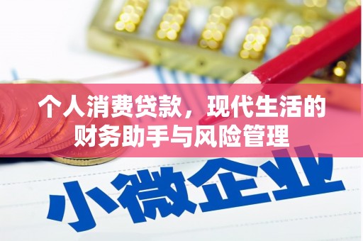 琼海个人消费贷款，现代生活的财务助手与风险管理