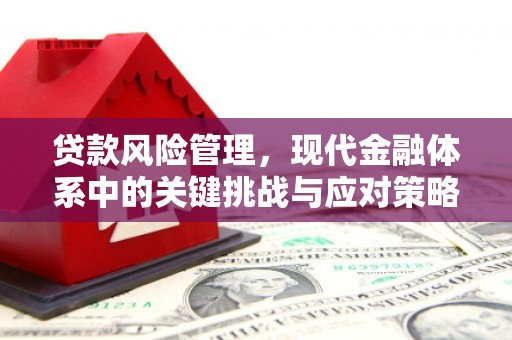 琼海贷款风险管理，现代金融体系中的关键挑战与应对策略
