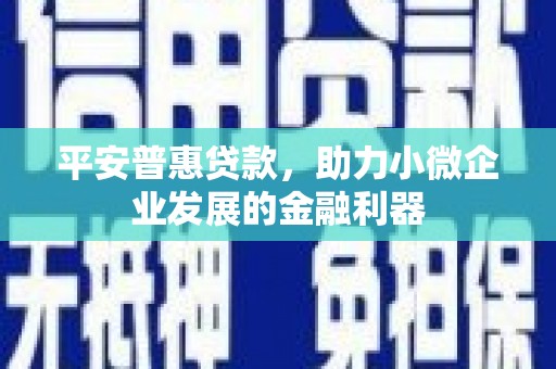 琼海平安普惠贷款，助力小微企业发展的金融利器