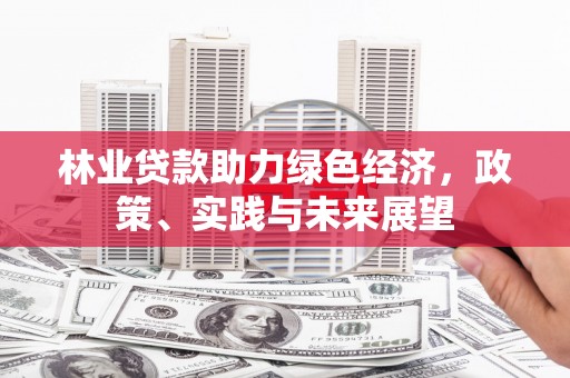琼海林业贷款助力绿色经济，政策、实践与未来展望