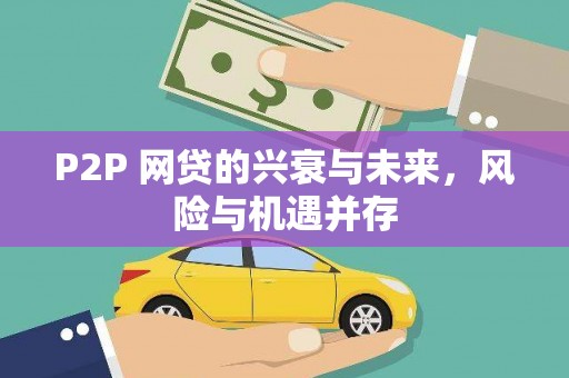 琼海P2P 网贷的兴衰与未来，风险与机遇并存