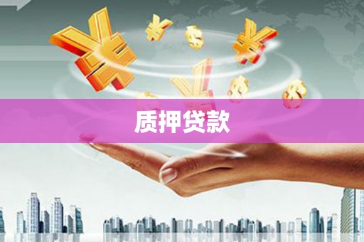 琼海质押贷款