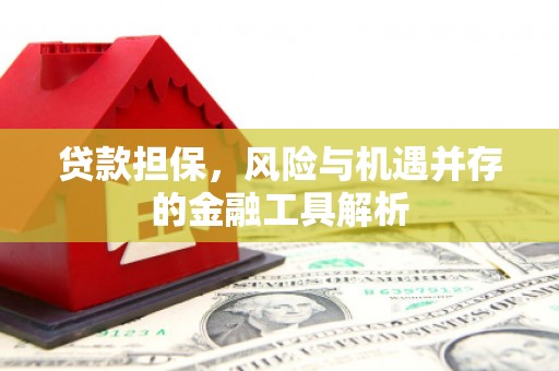 琼海贷款担保，风险与机遇并存的金融工具解析