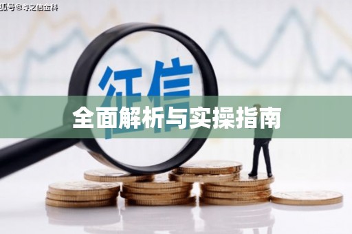 琼海全面解析与实操指南